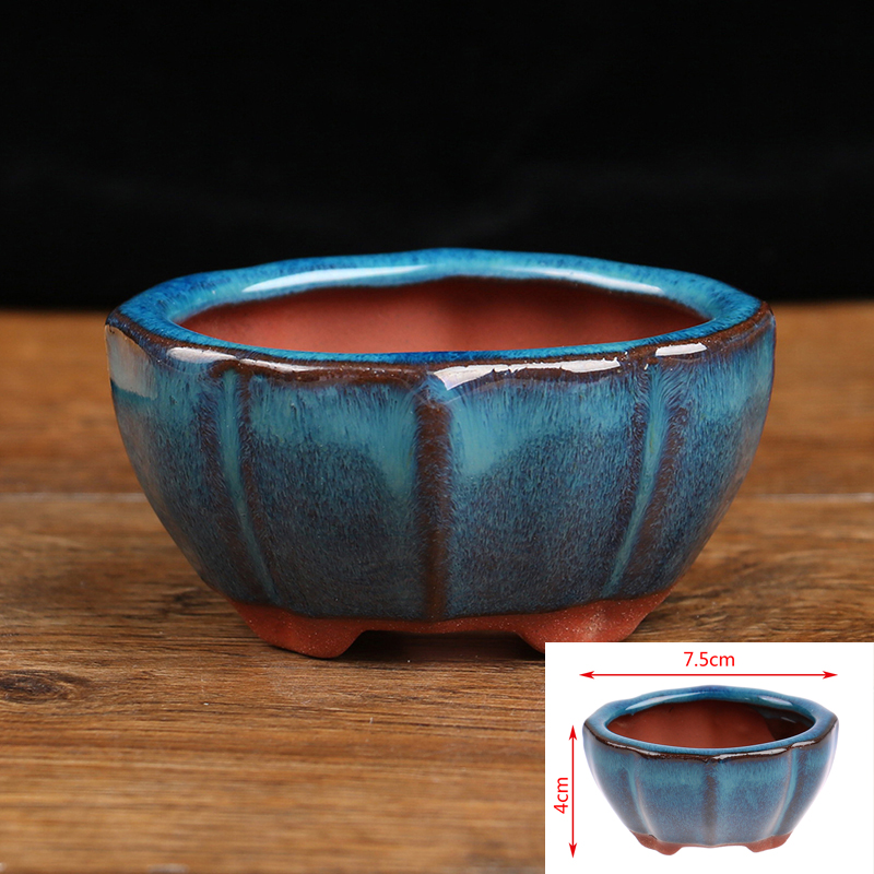 Plant Desk Mini - 1 pçs bonsai mini vaso de
