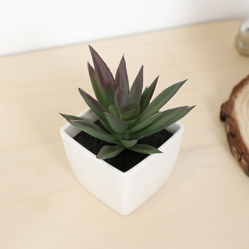 Plant Desk Mini - Mini copo de fada suculenta artificial