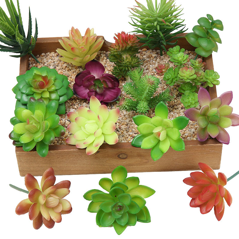 Plantas suculentas artificiais - Plant Desk Mini avaliação e preço