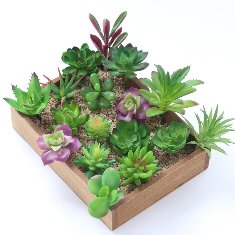 Plantas suculentas artificiais - Plant Desk Mini avaliação e preço