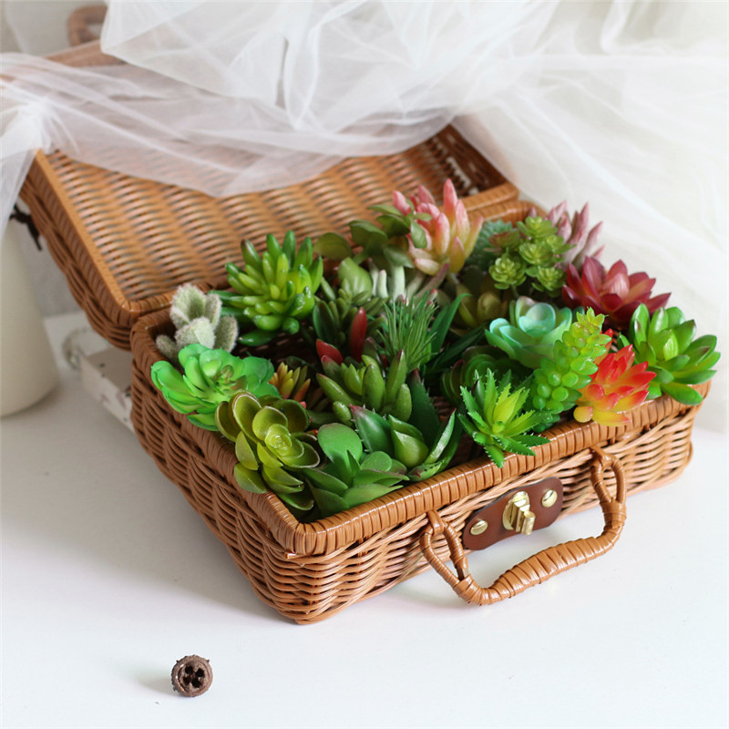 Plantas suculentas artificiais - Plant Desk Mini avaliação e preço