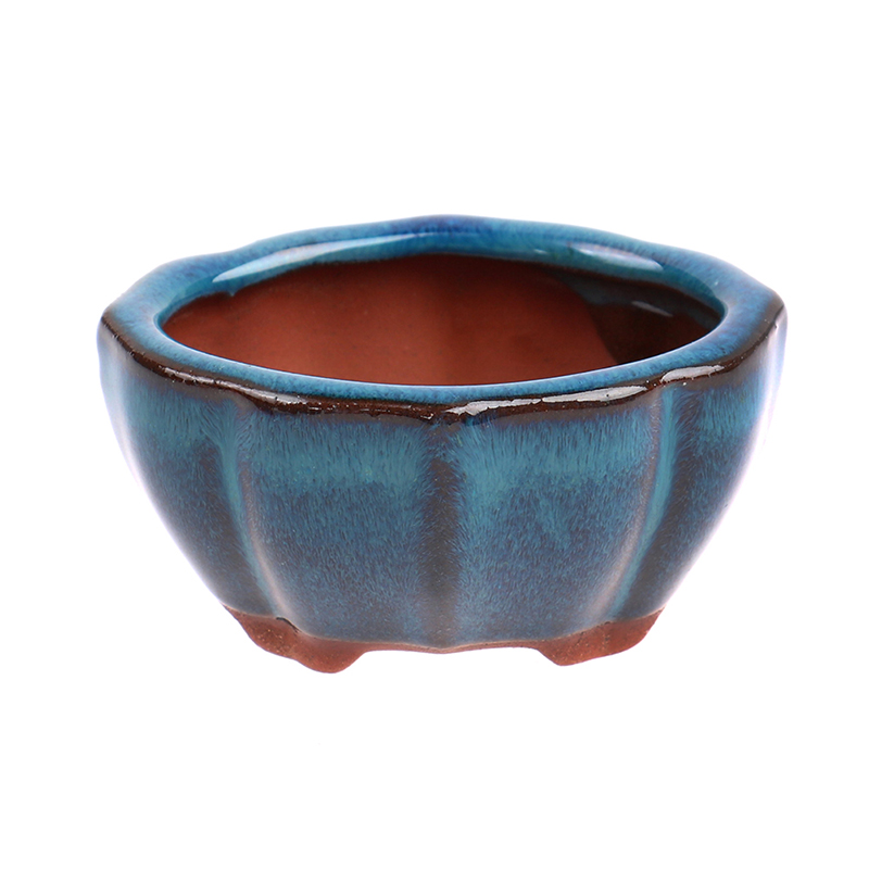 1 pçs bonsai mini vaso de cerâ - Plant Desk Mini avaliação e preço