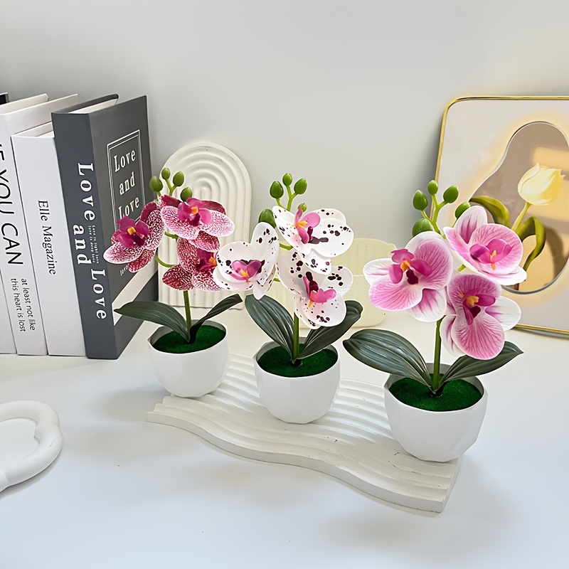 3 peças de Orquídeas Phalaenop - Plant Desk Mini avaliação e preço