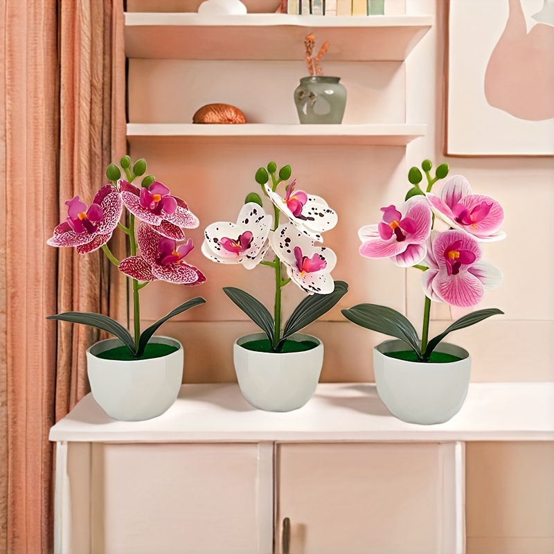 3 peças de Orquídeas Phalaenop - Plant Desk Mini avaliação e preço