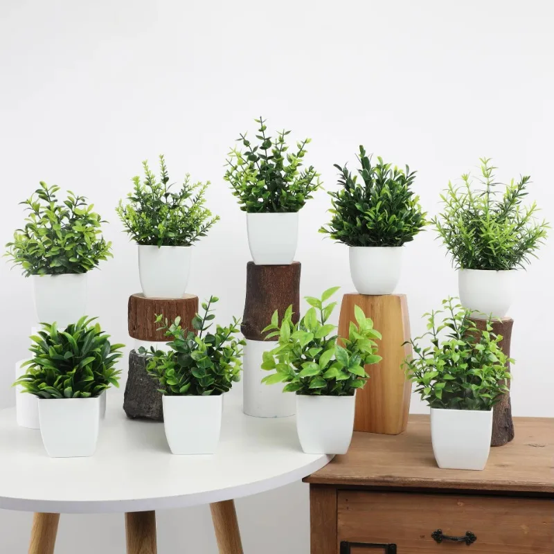 Atacado OEM/ODM Mini Plantas A - Plant Desk Mini avaliação e preço