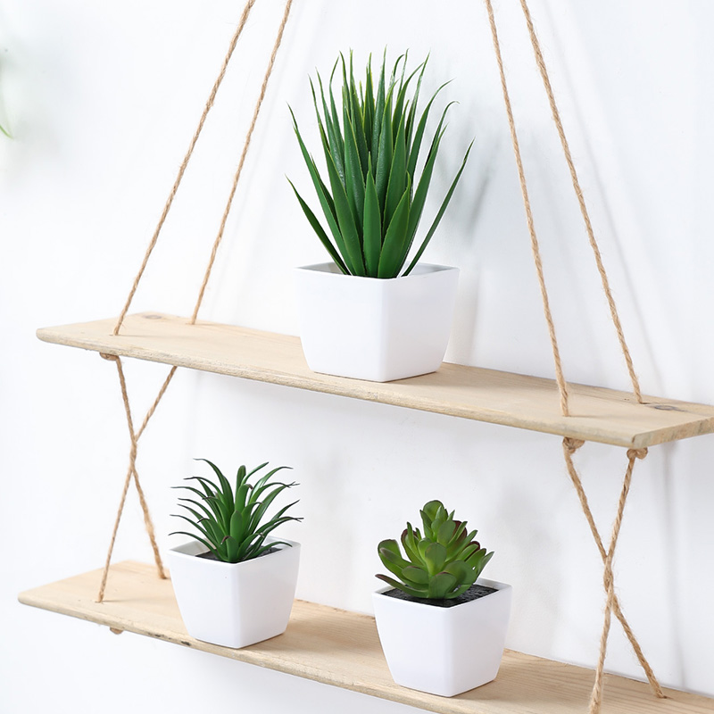 (Um conjunto de 3 peças) mini  - Plant Desk Mini avaliação e preço