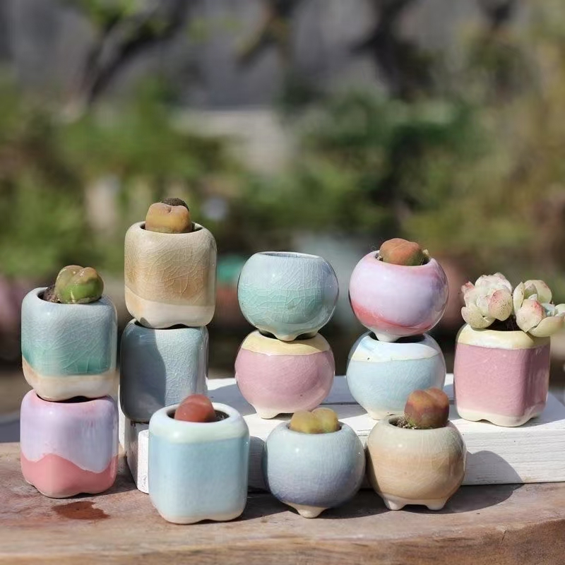6 pçs mini vaso de flores sucu - Plant Desk Mini avaliação e preço