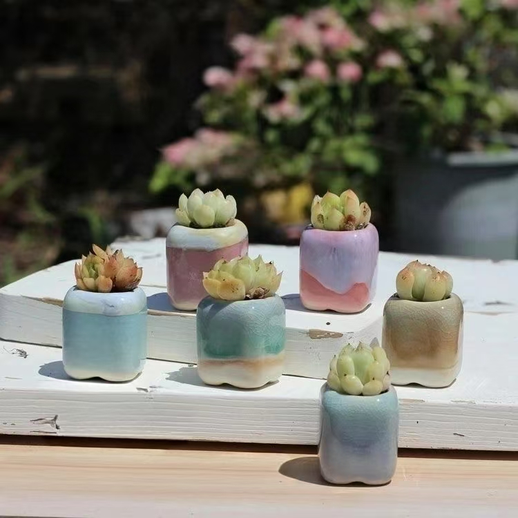 6 pçs mini vaso de flores sucu - Plant Desk Mini avaliação e preço