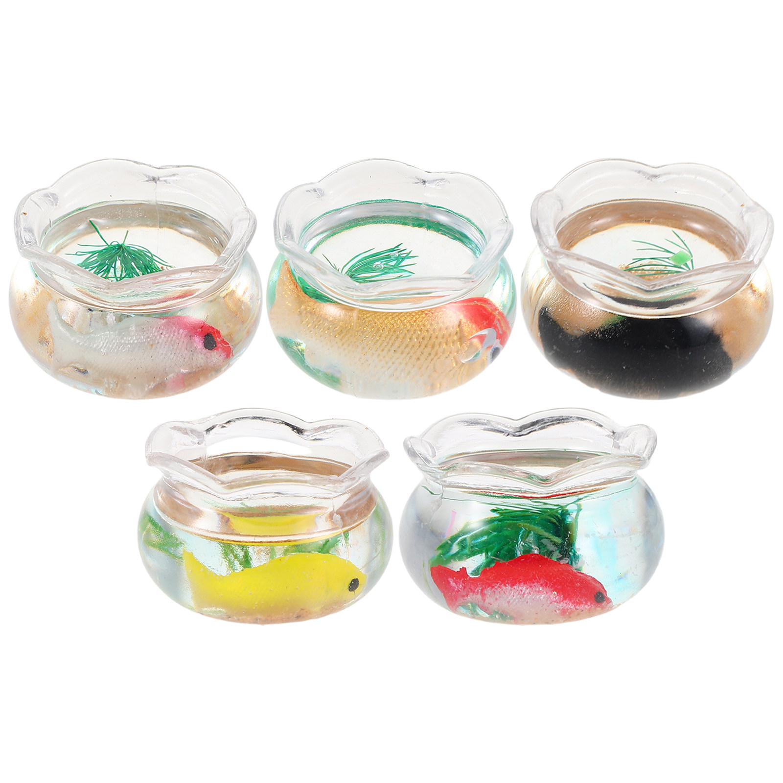 5 Peças Mini Aquário Redondo p - Plant Desk Mini avaliação e preço